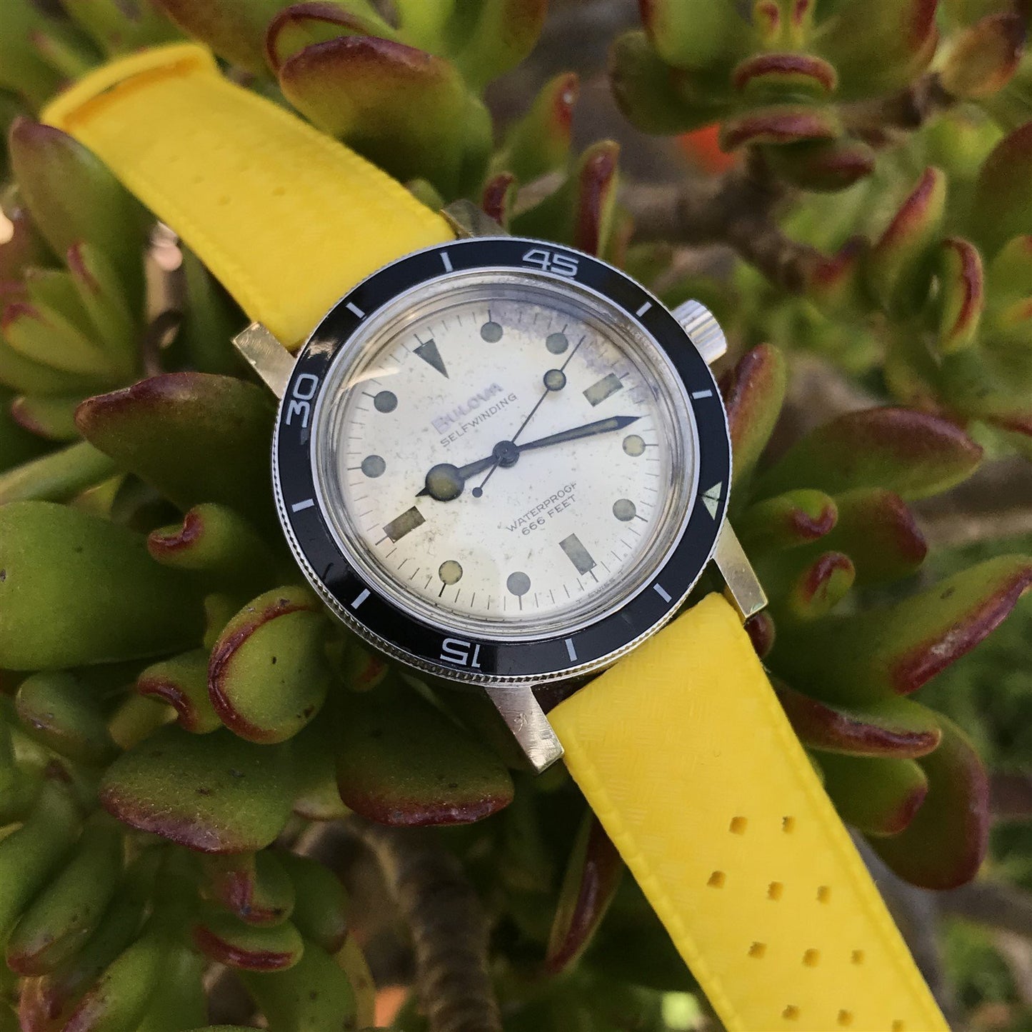 Vintage 18mm Yellow Tropical Skindiver Classic 1960s-1970s nos Unused Watch Band