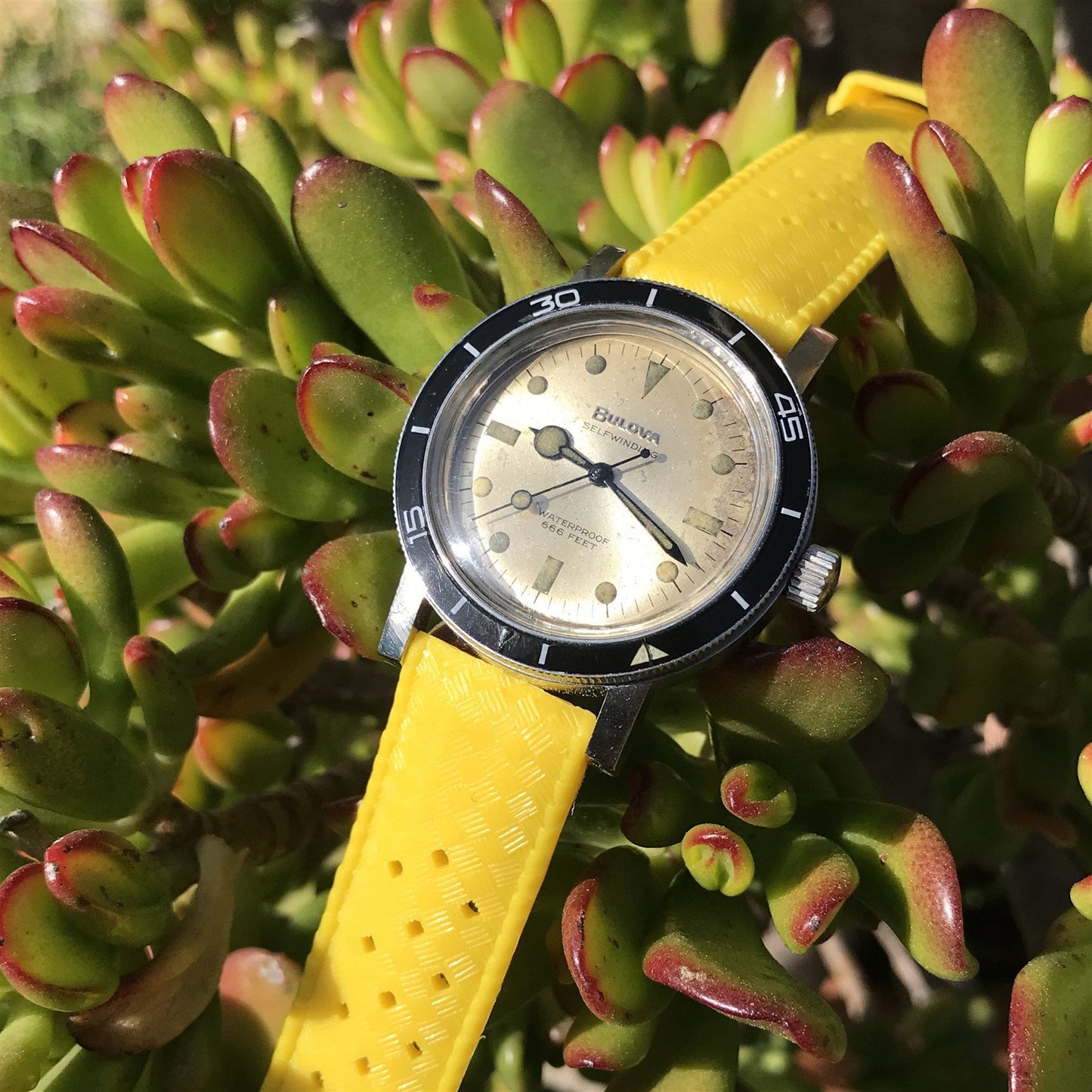 Vintage 18mm Yellow Tropical Skindiver Classic 1960s-1970s nos Unused Watch Band